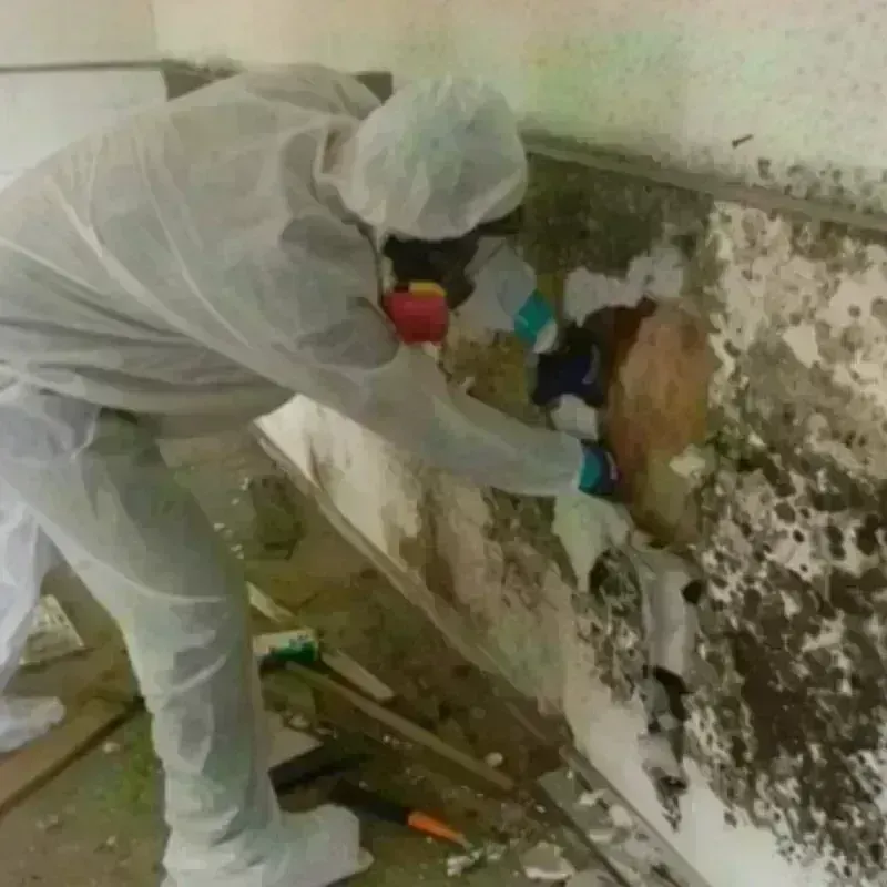 Mold Remediation and Removal in Bowleys Quarters, MD